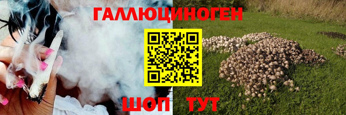 Нурлат  Псилоцибиновые грибы MAGIC MUSHROOMS  Вход с VPN 